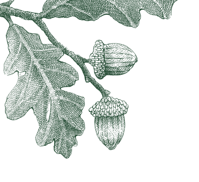 Vælg illustration