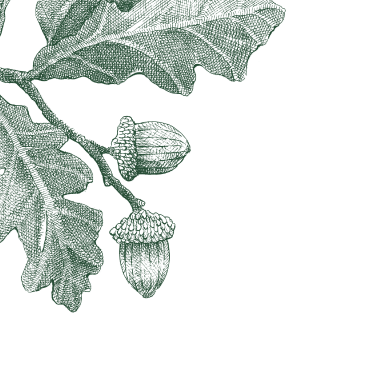 Vælg illustration