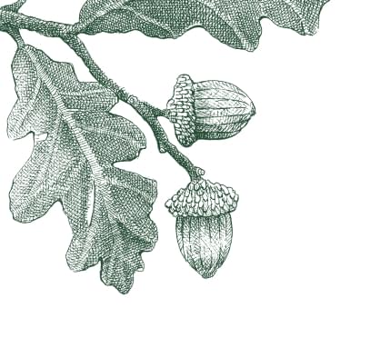 Vælg illustration
