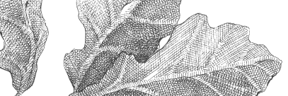 Vælg illustration