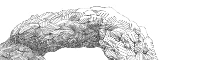 Stor flagspætte illustration