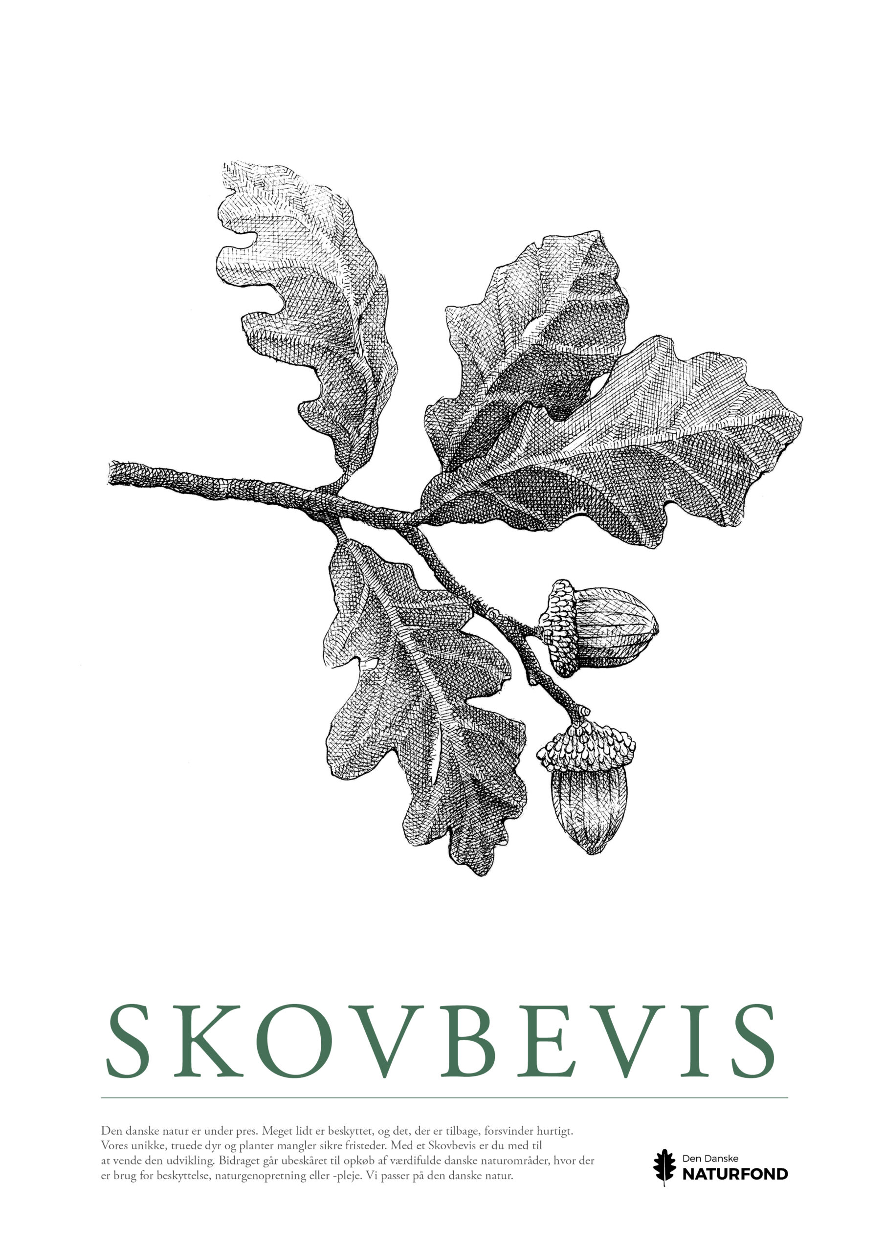 SKOVBEVISER® - Billede 98