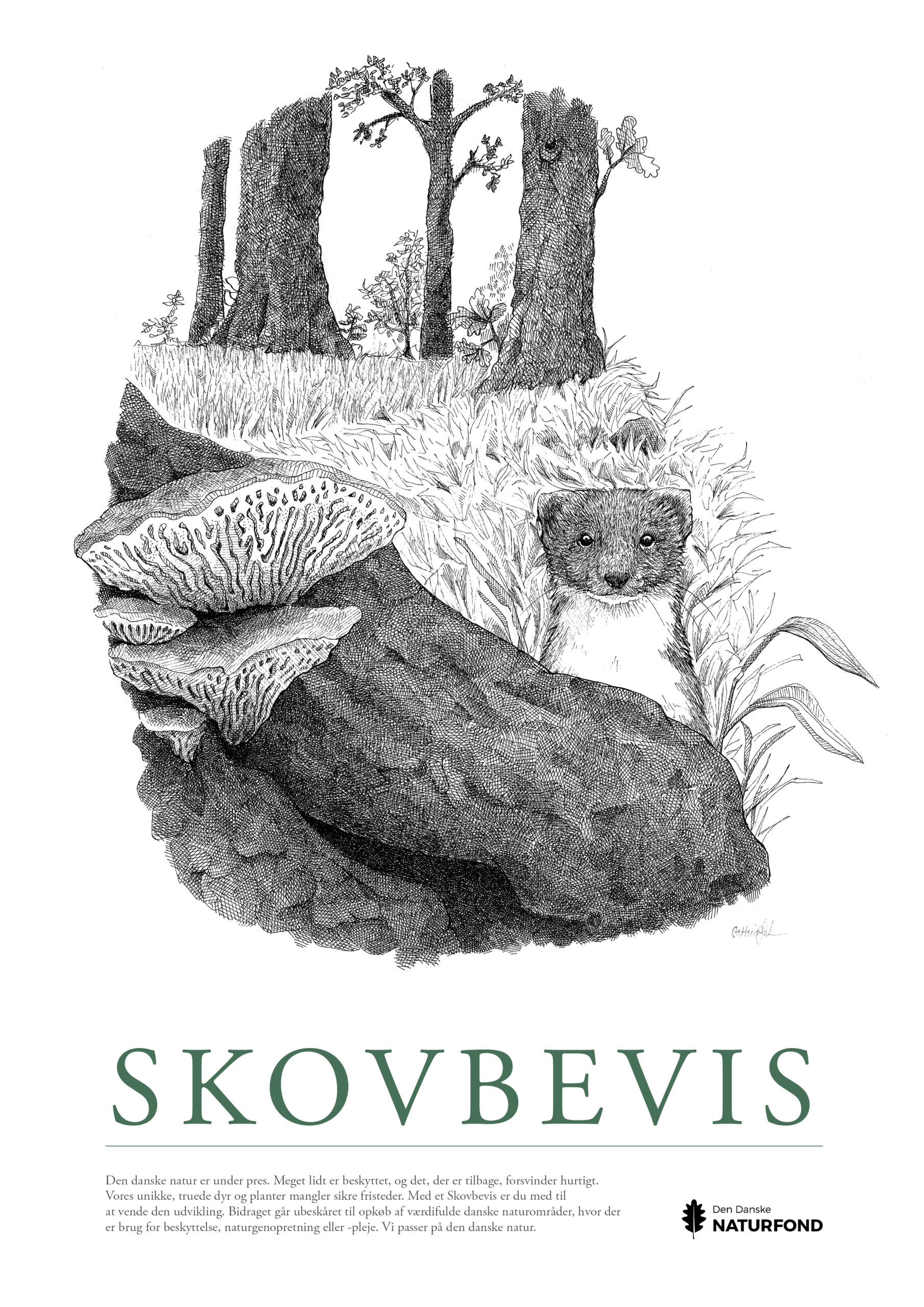 SKOVBEVISER® - Billede 54607