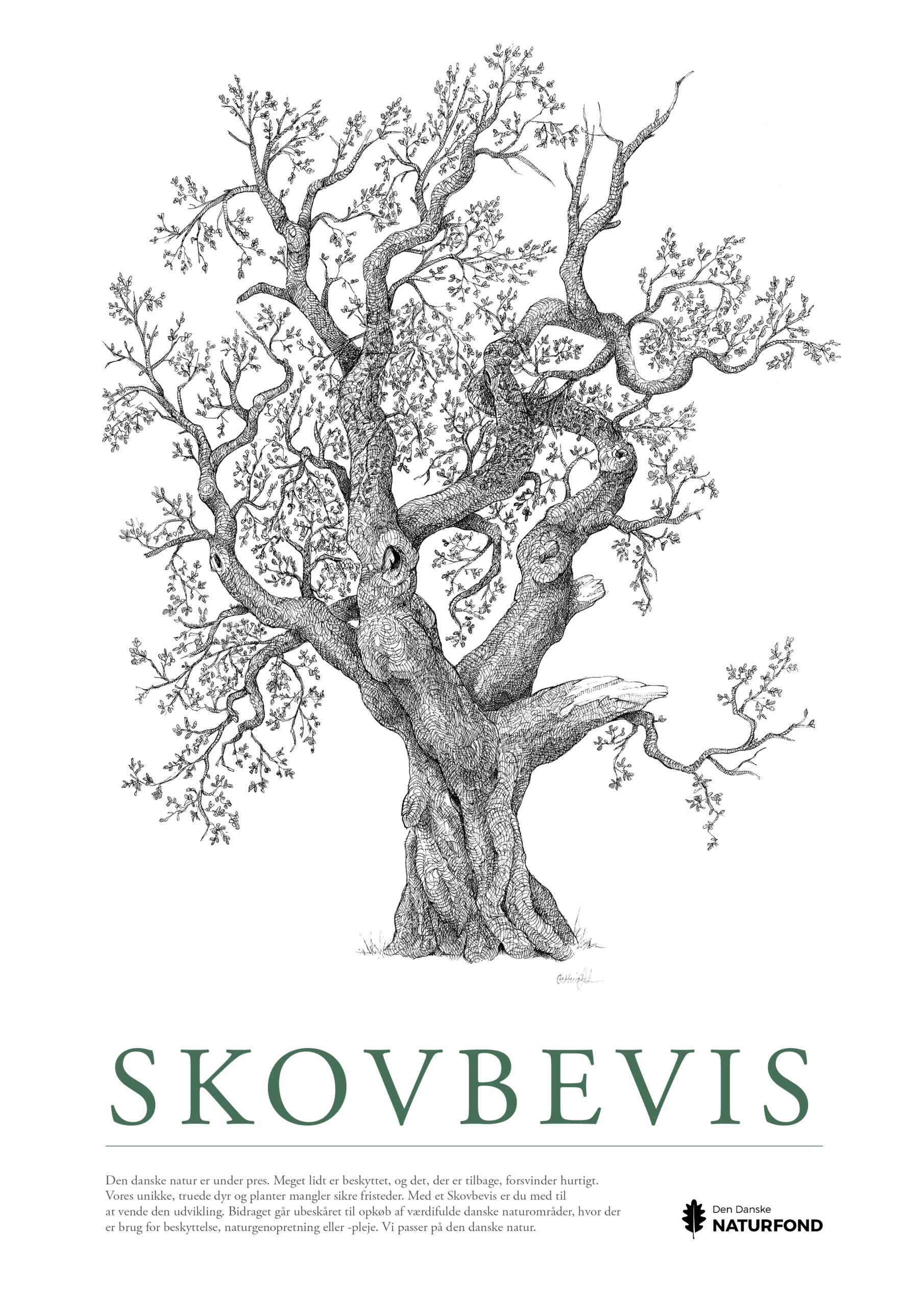 SKOVBEVISER® - Billede 101