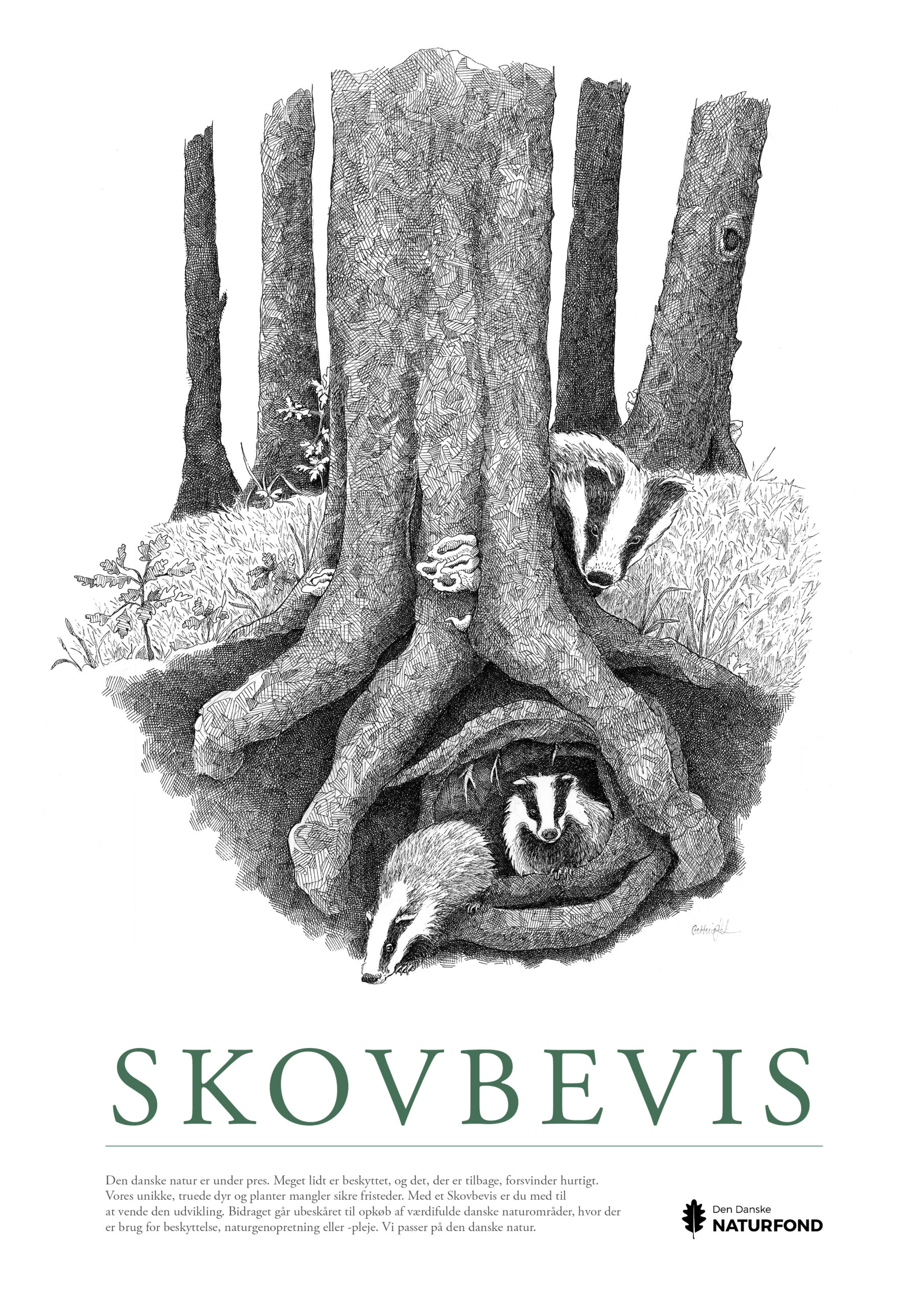 SKOVBEVISER® - Billede 54612