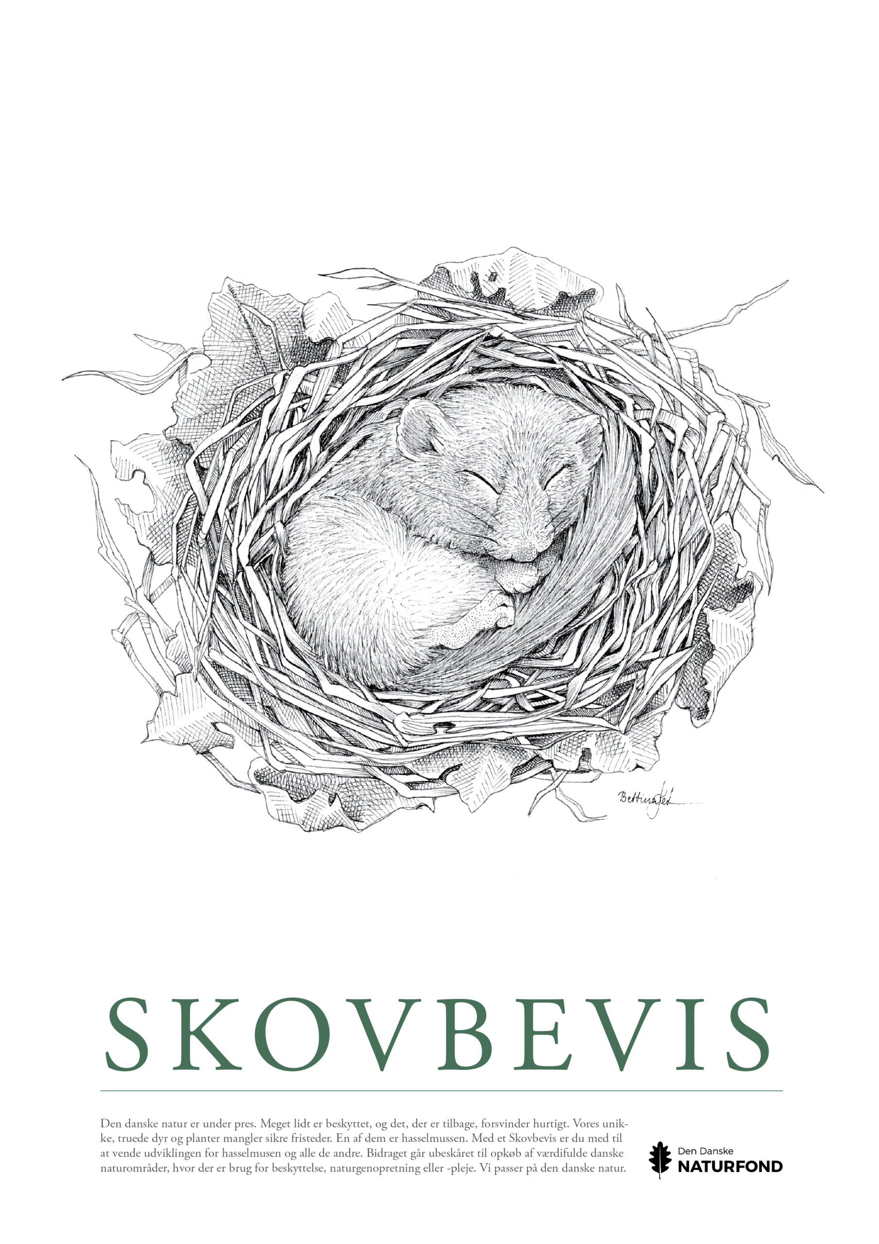 SKOVBEVISER® - Billede 222