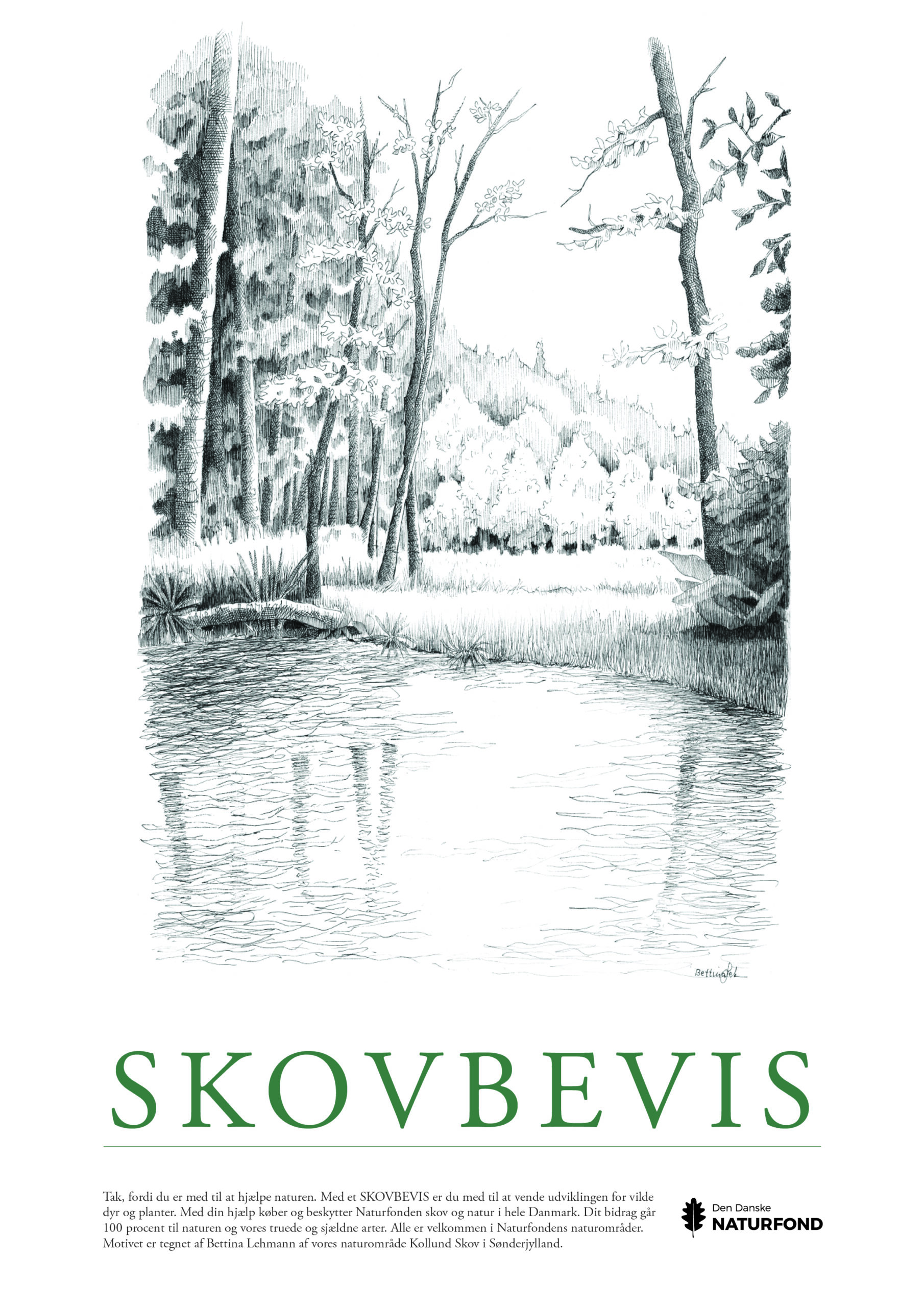 SKOVBEVISER® - Billede 54172