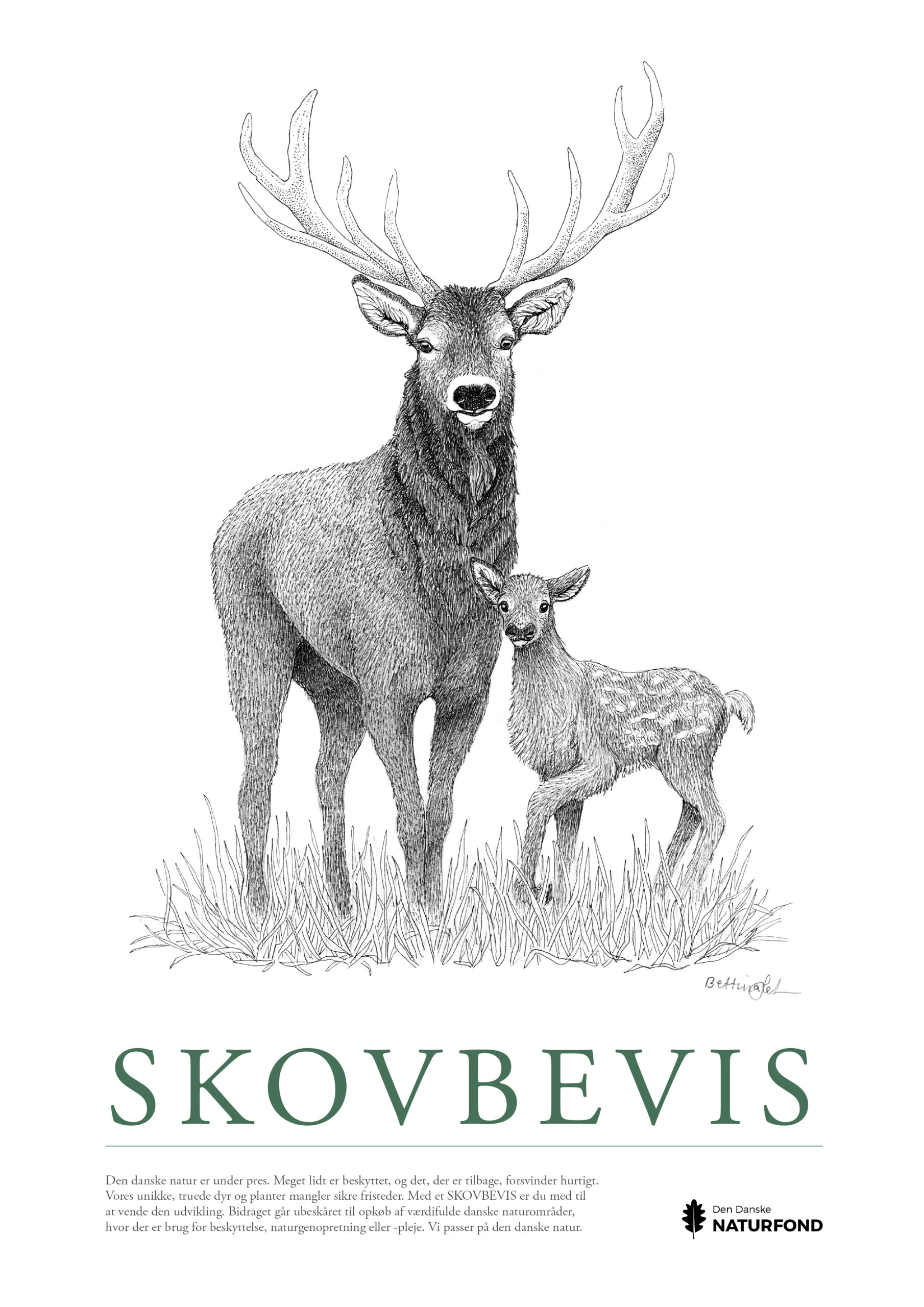 SKOVBEVISER® - Billede 21740