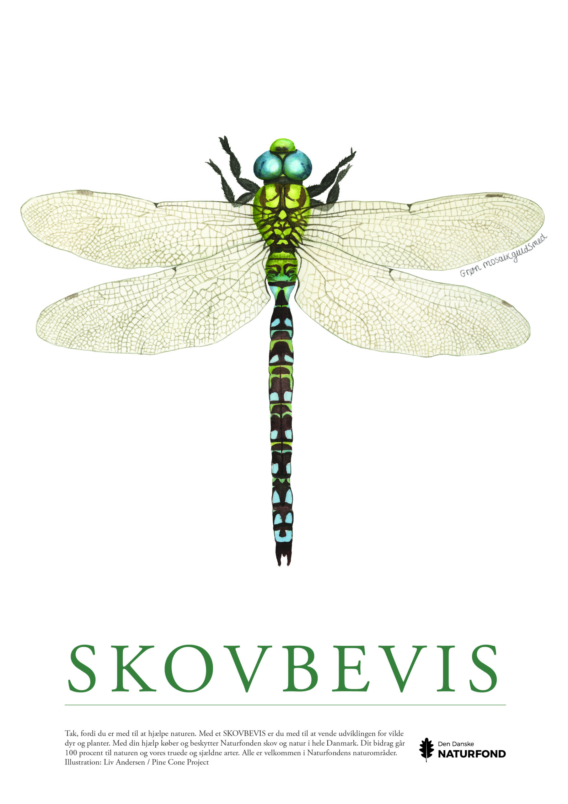 SKOVBEVISER® - Billede 52158