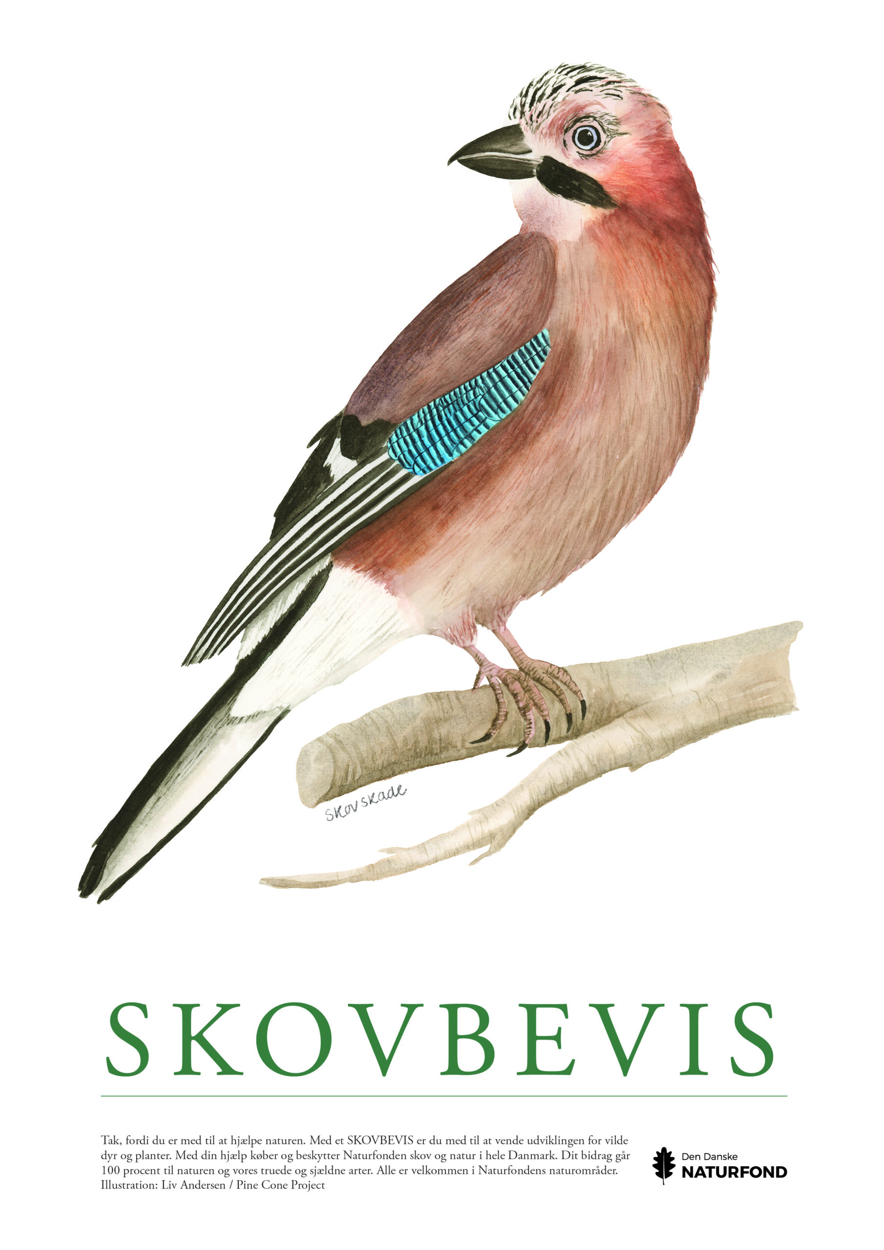 SKOVBEVISER® - Billede 54605