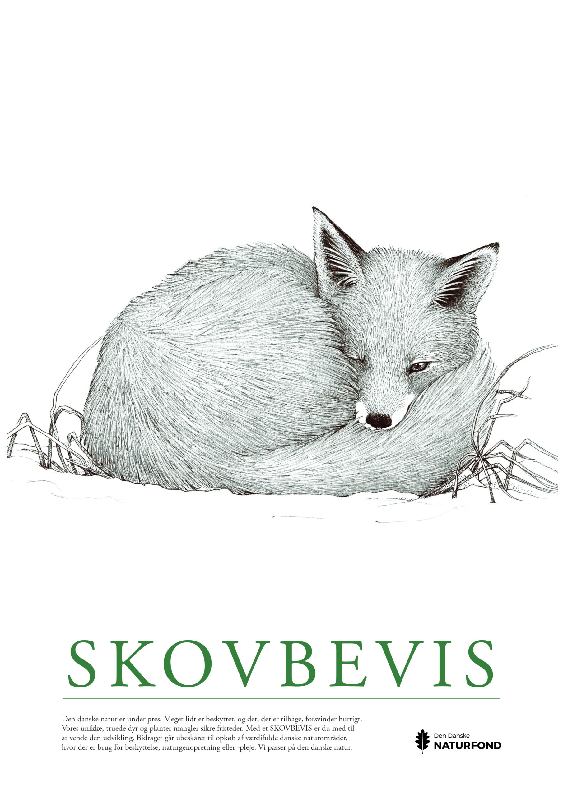 SKOVBEVISER® - Billede 49131