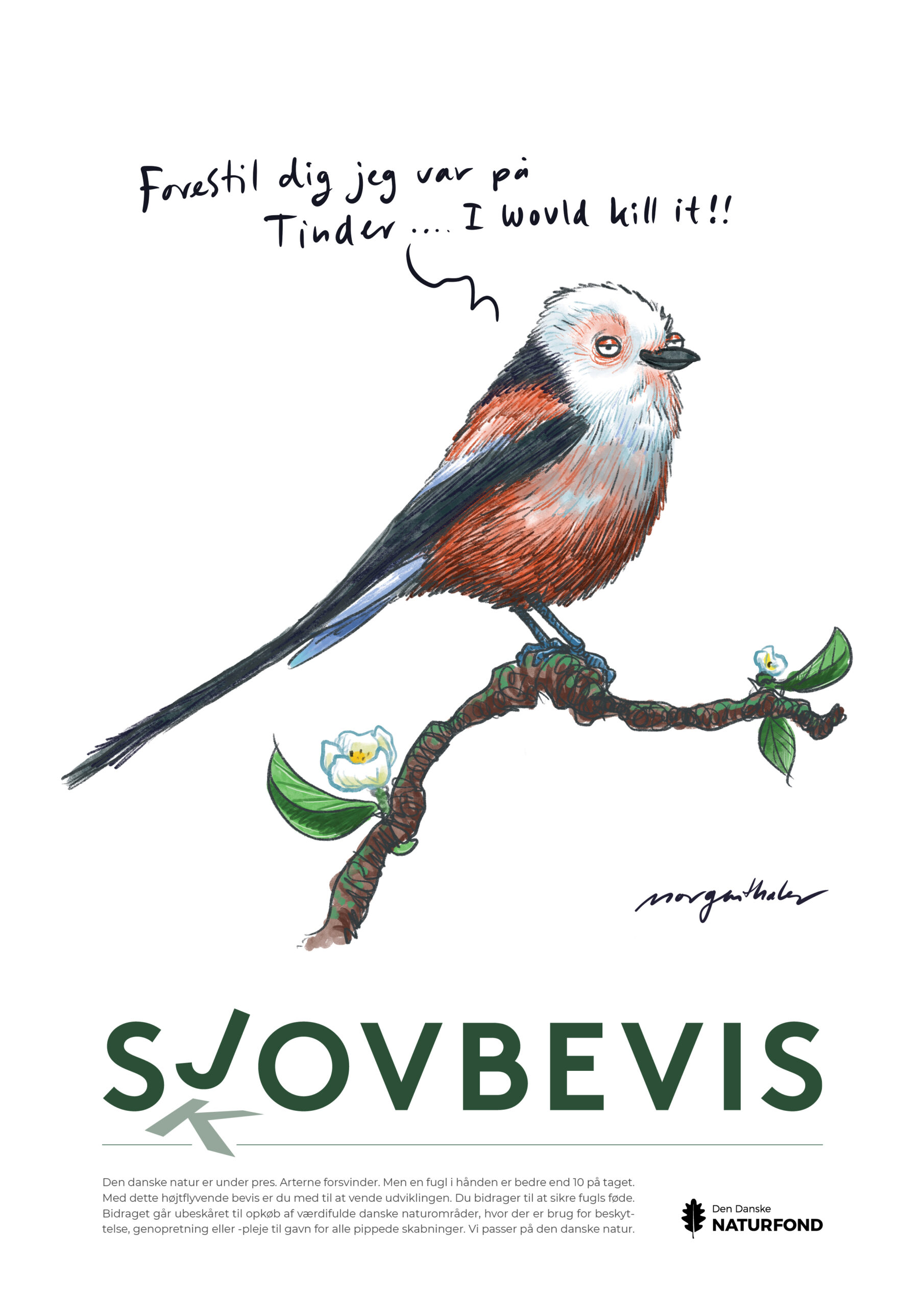 SJOVBEVISER - Billede 2156