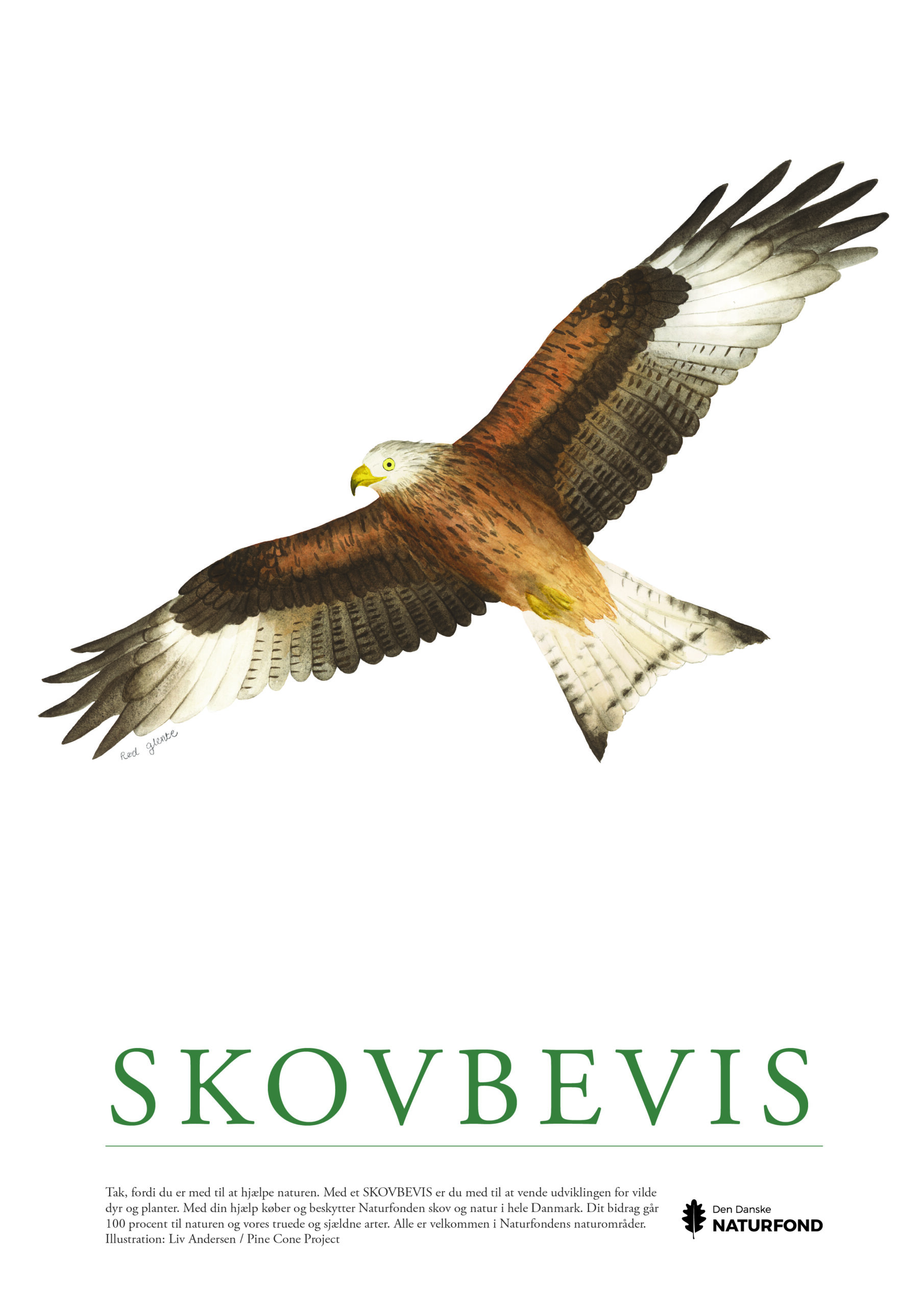 SKOVBEVISER® - Billede 62272