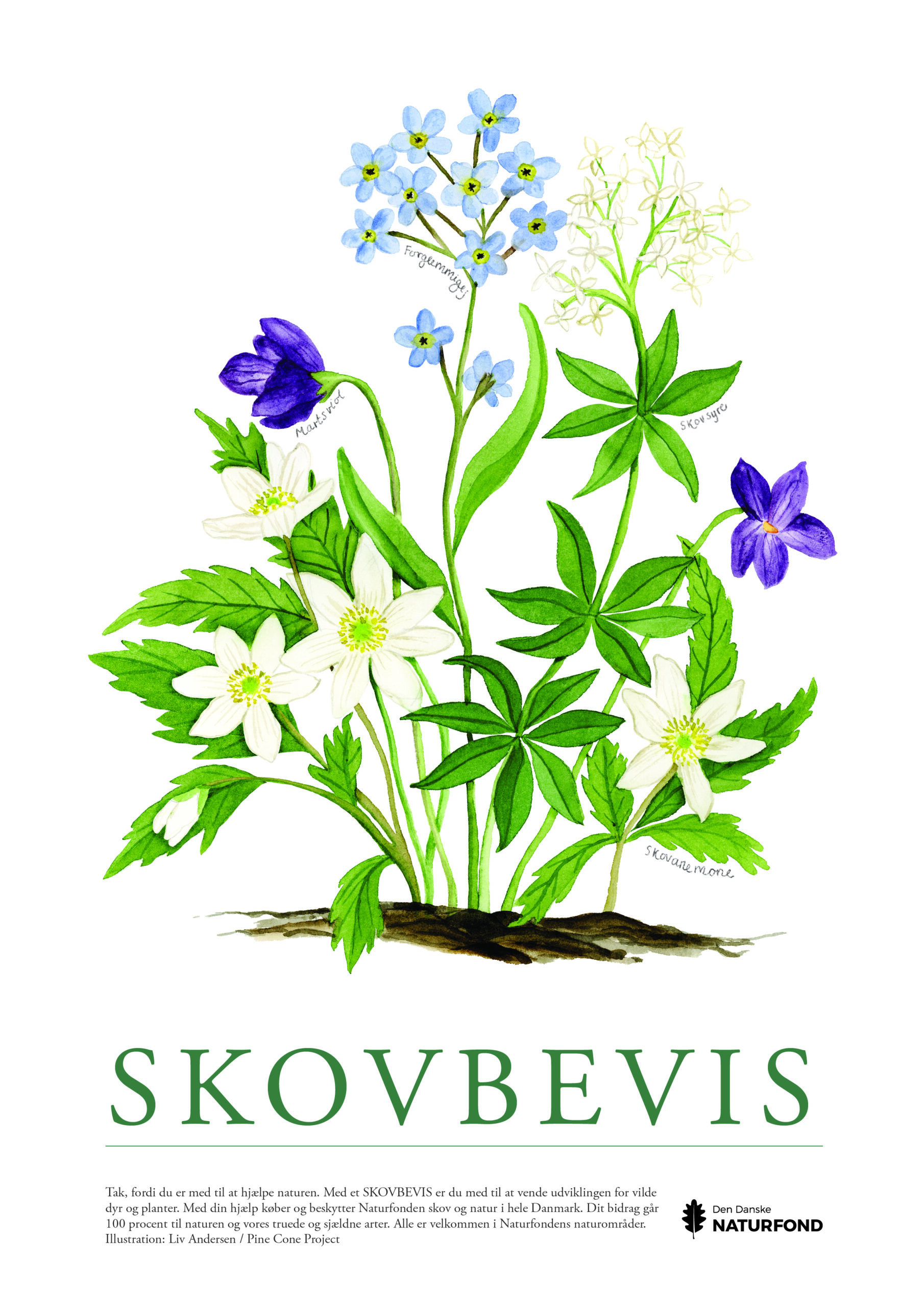 SKOVBEVISER® - Billede 62271