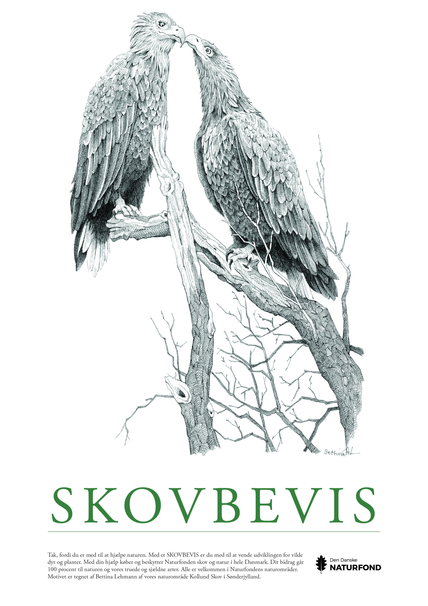 SKOVBEVISER® - Billede 58758