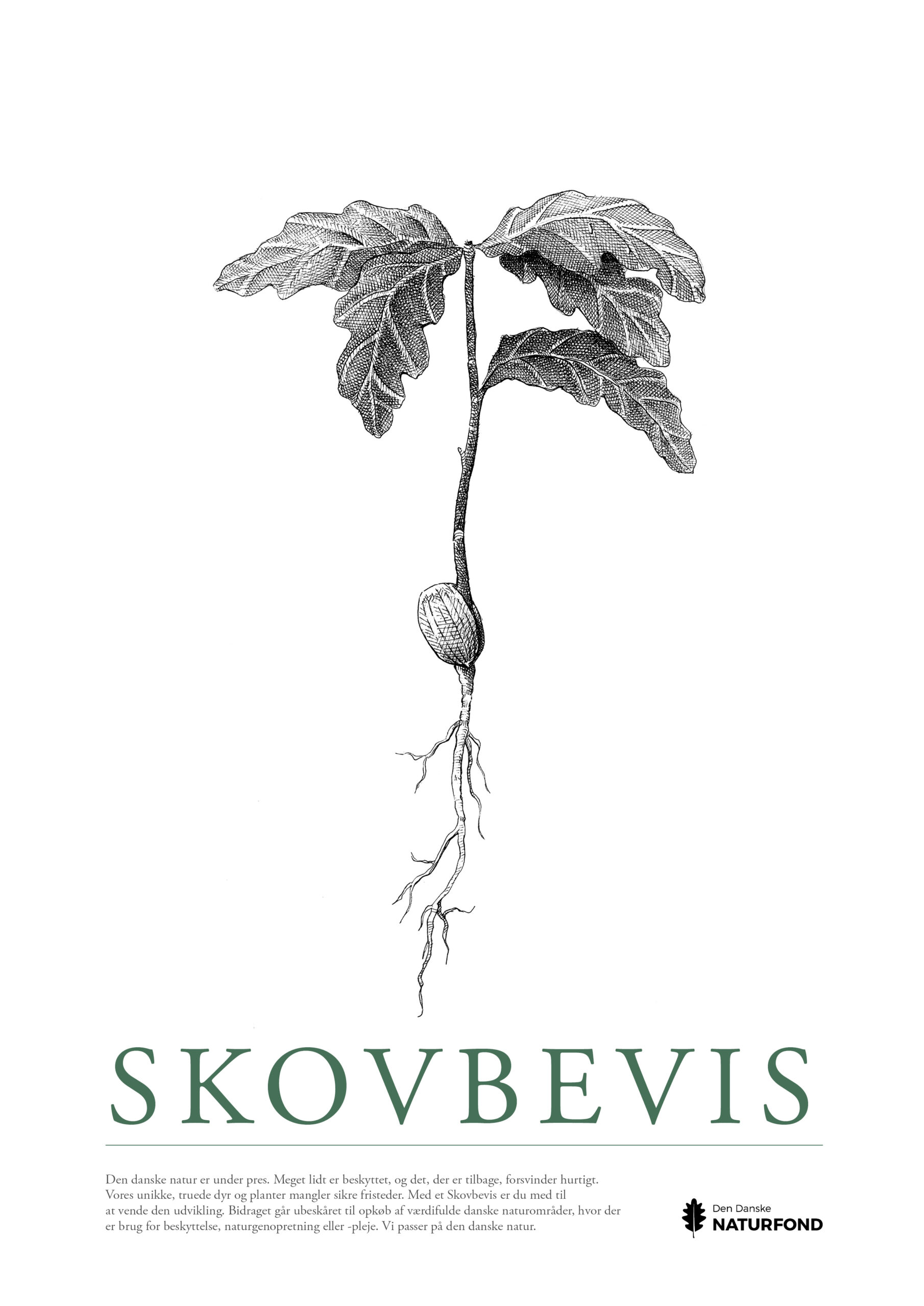 SKOVBEVISER® - Billede 107