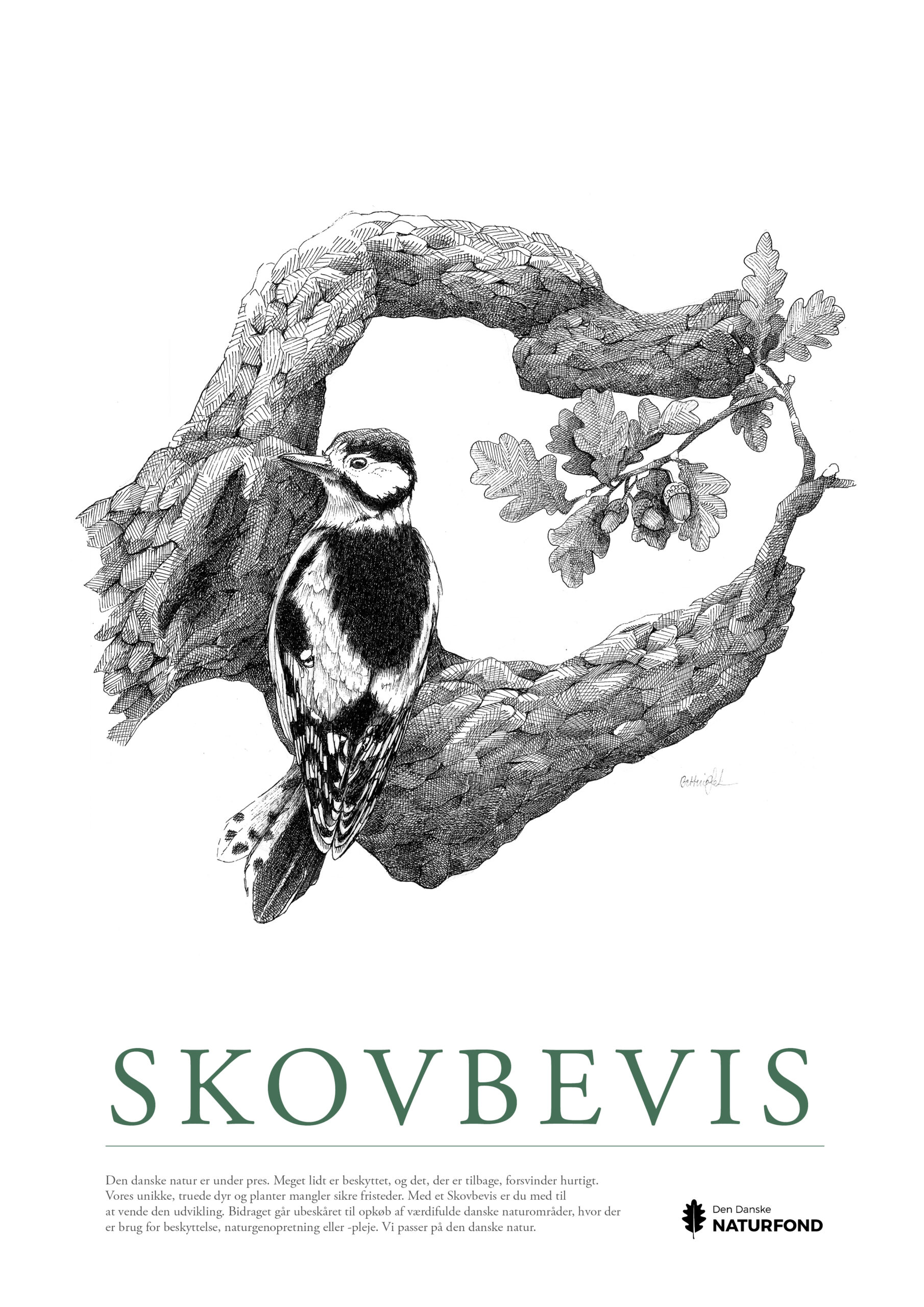 SKOVBEVISER® - Billede 108