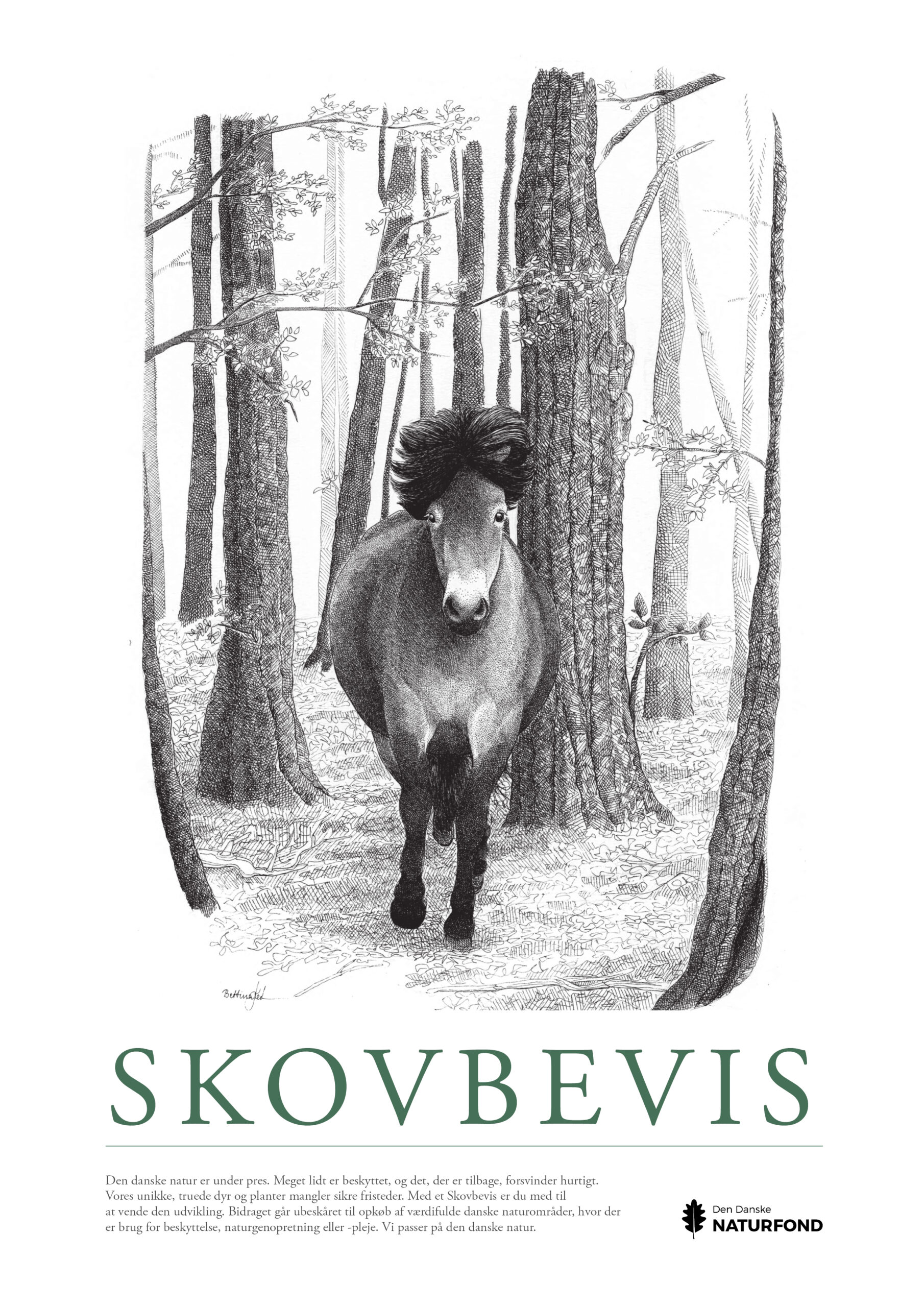 SKOVBEVISER® - Billede 54608